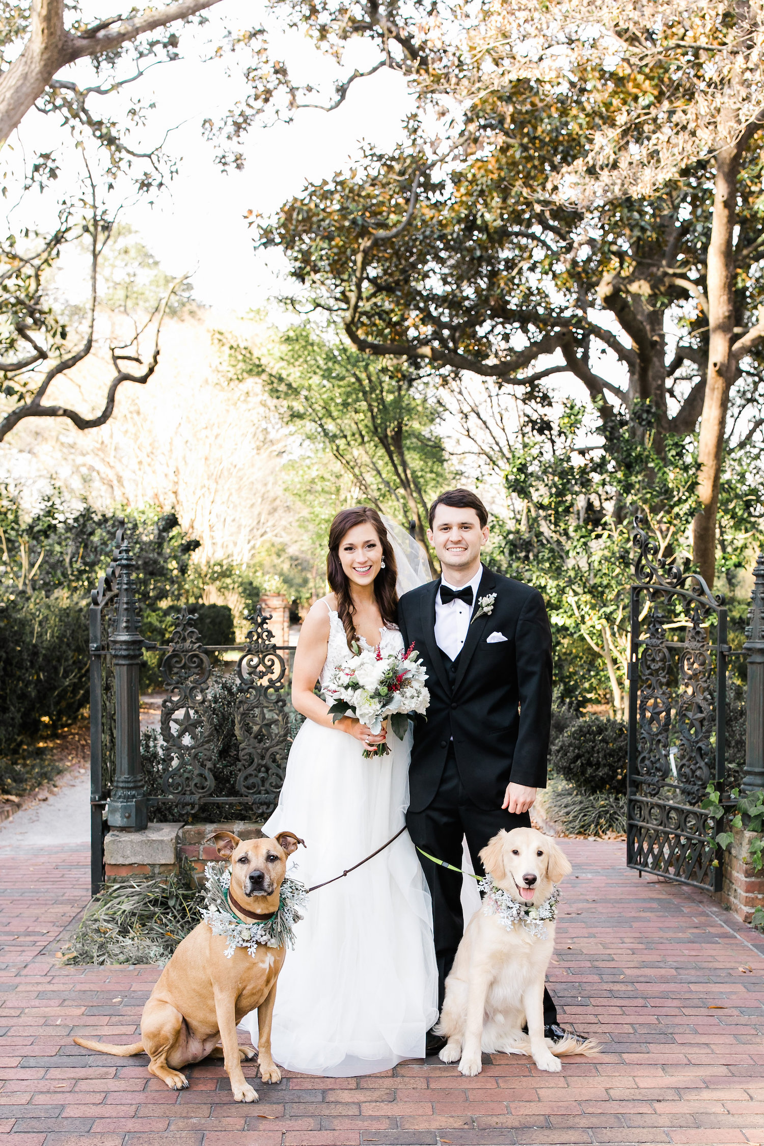 Bride-Groom with dogs